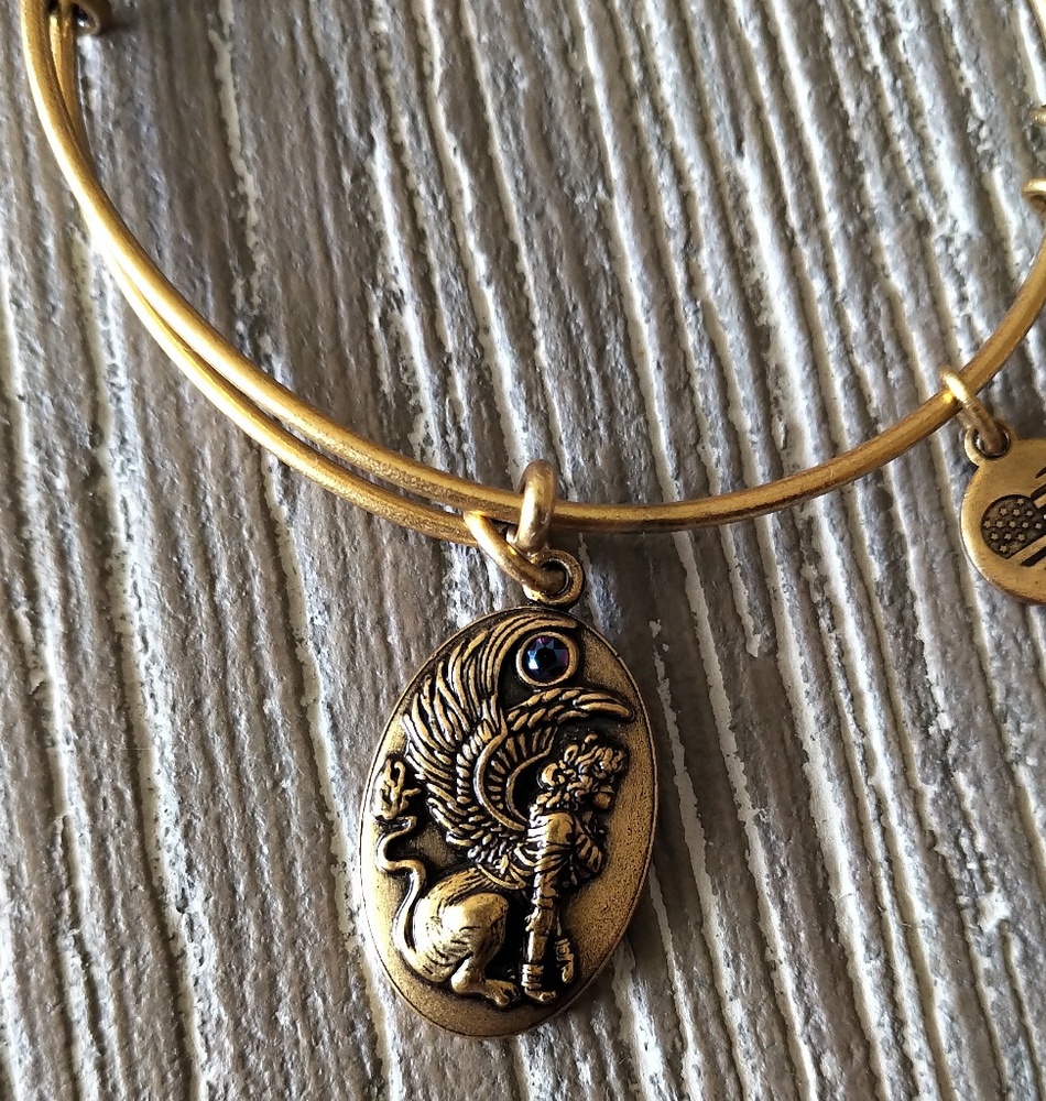 Alex and Ani Sphinx Charm Bracelet - Picture 3 of 7